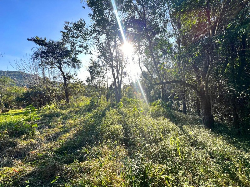  - Chácara à venda em Morro Reuter, Linha Cristo Rei, 81.400,00m²
