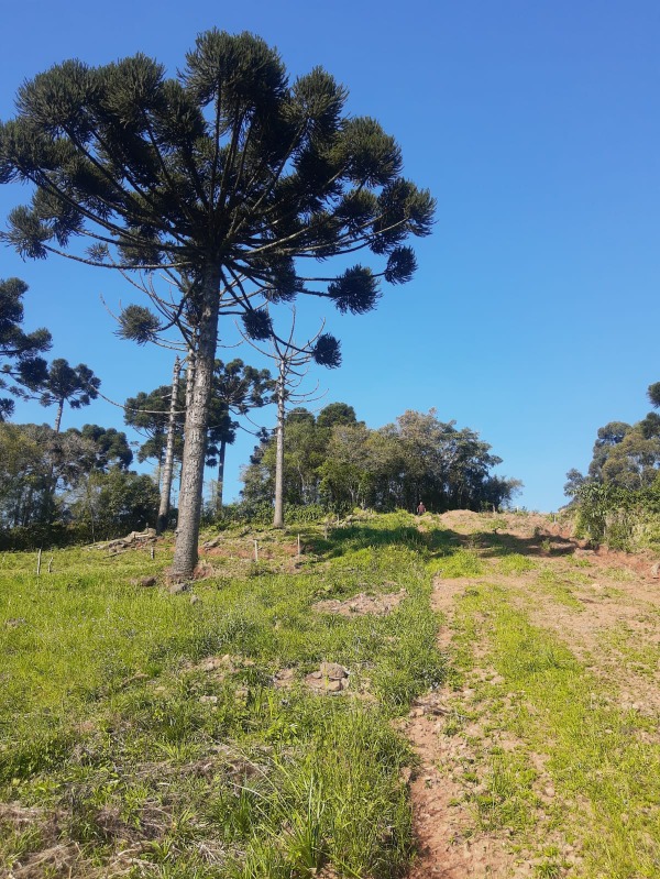 Terreno à venda - Boa Vista do Herval,Santa Maria do Herval