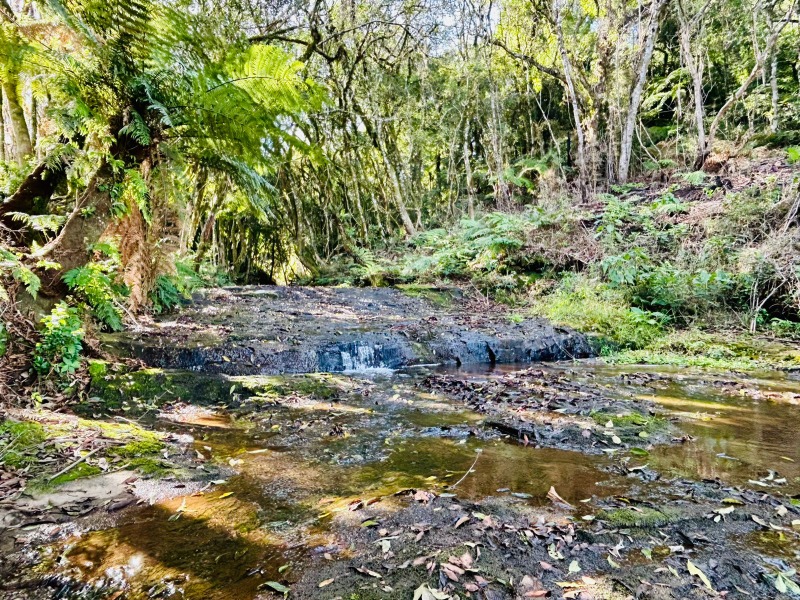 Chácara à venda - Padre Eterno Ilges,Santa Maria do Herval