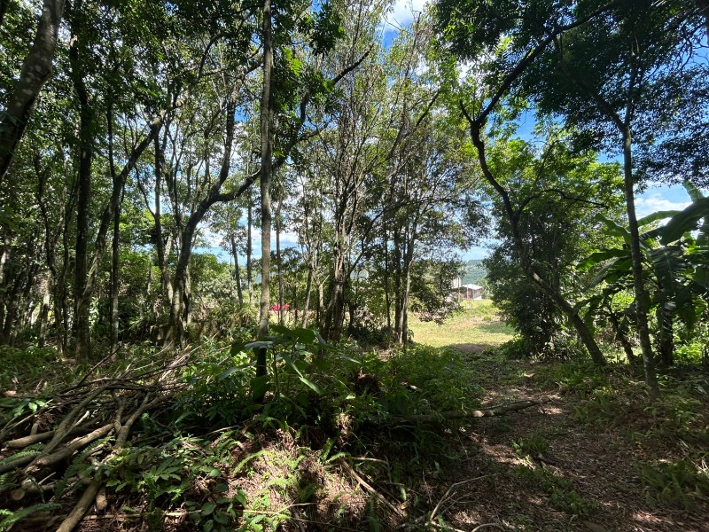 Área à venda - Picada Verão,Sapiranga