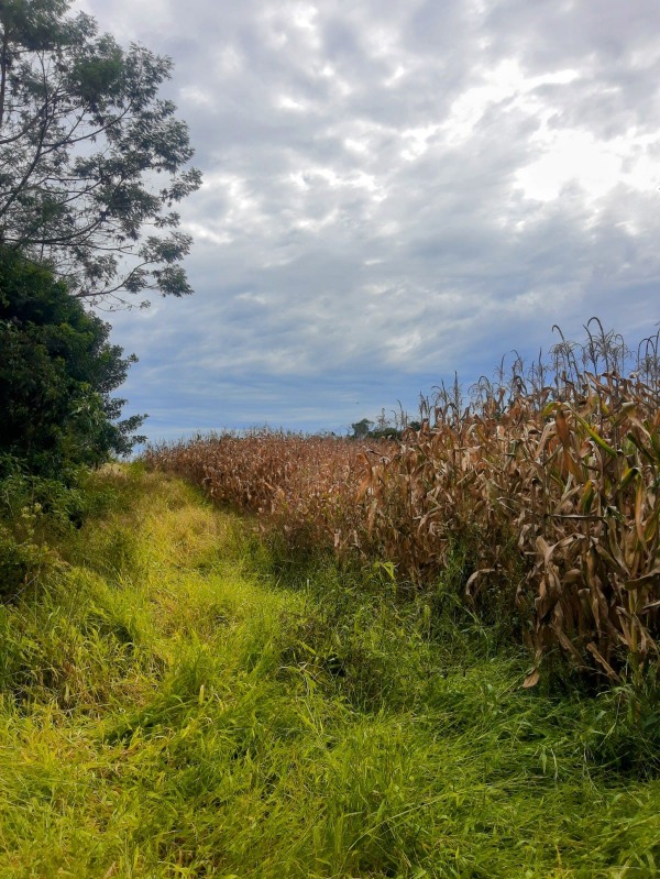  - Sítio à venda em Santa Maria do Herval, Padre Eterno Ilges, 17.000,00m²
