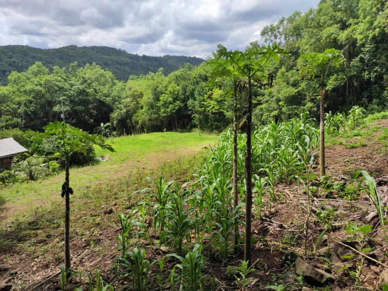 Chácara à venda com 2 quartos - Padre Eterno,Santa Maria do Herval