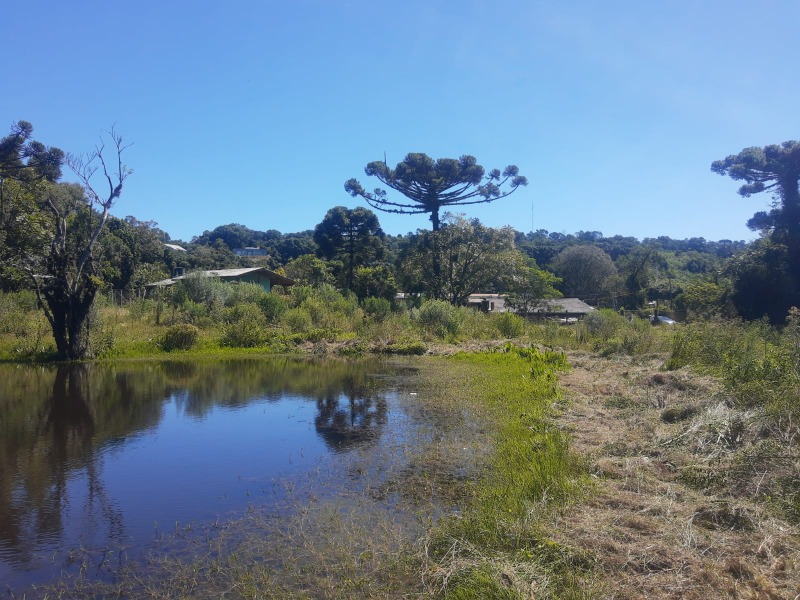 Sítio à venda - São José do Herval,Morro Reuter
