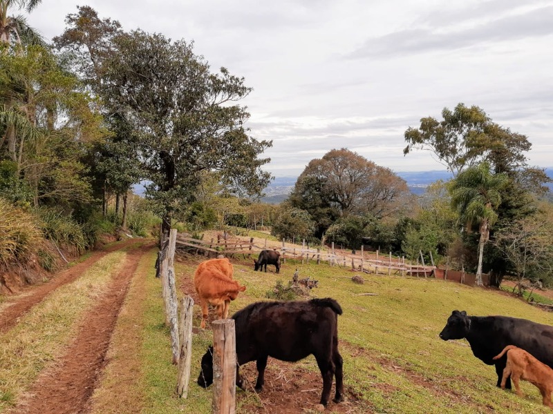 Chácara à venda - Travessão,Dois Irmãos