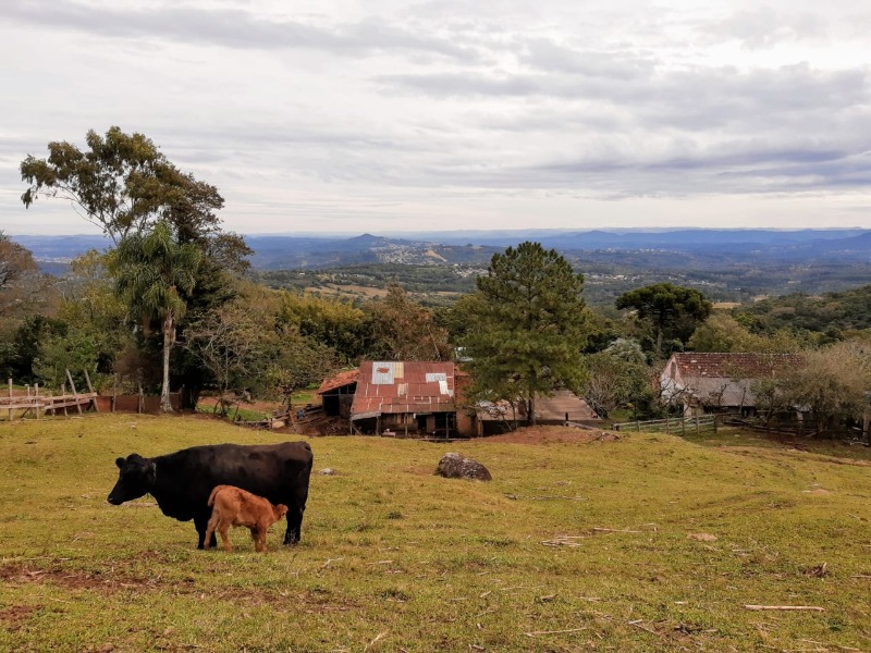 Chácara à venda - Travessão,Dois Irmãos