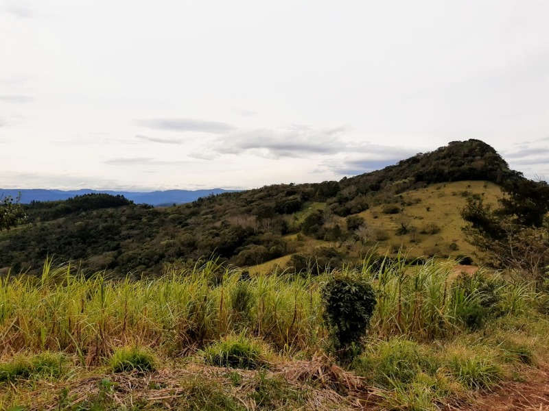  - Chácara à venda em Dois Irmãos, Travessão, 188.000,00m²