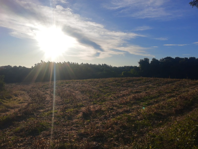 Sítio à venda - Padre Eterno Ilges,Santa Maria do Herval