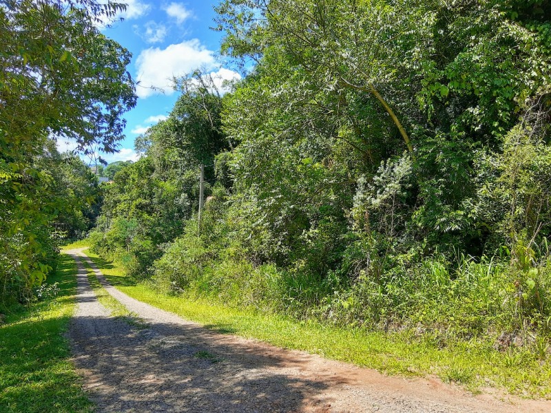  - Área à venda em Dois Irmãos, Beira Rio, 9.567,00m²