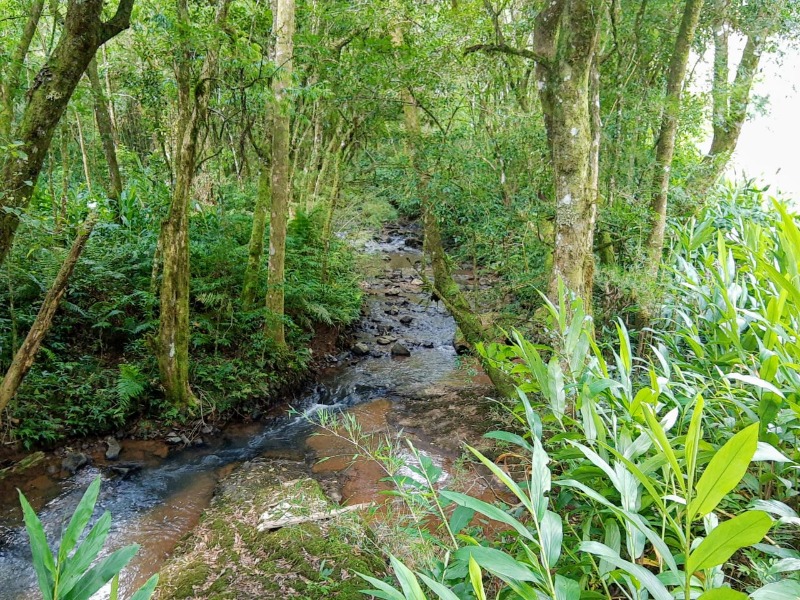Chácara à venda - Nova Vila,Santa Maria do Herval