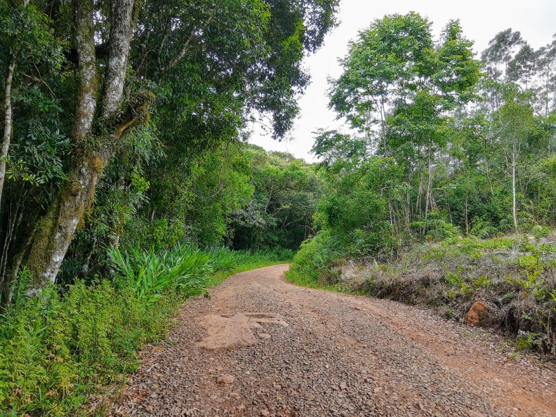  - Chácara à venda em Santa Maria do Herval, Nova Vila, 71.590,37m²