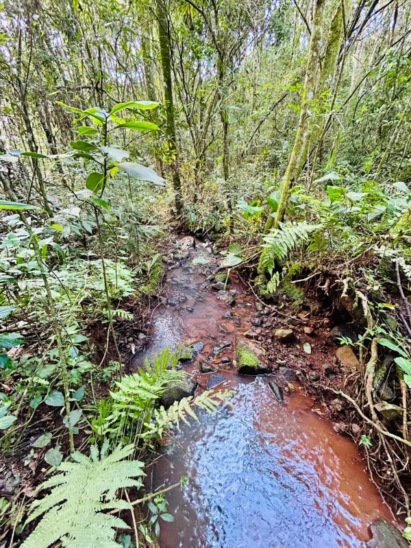Área à venda - Travessão,Dois Irmãos
