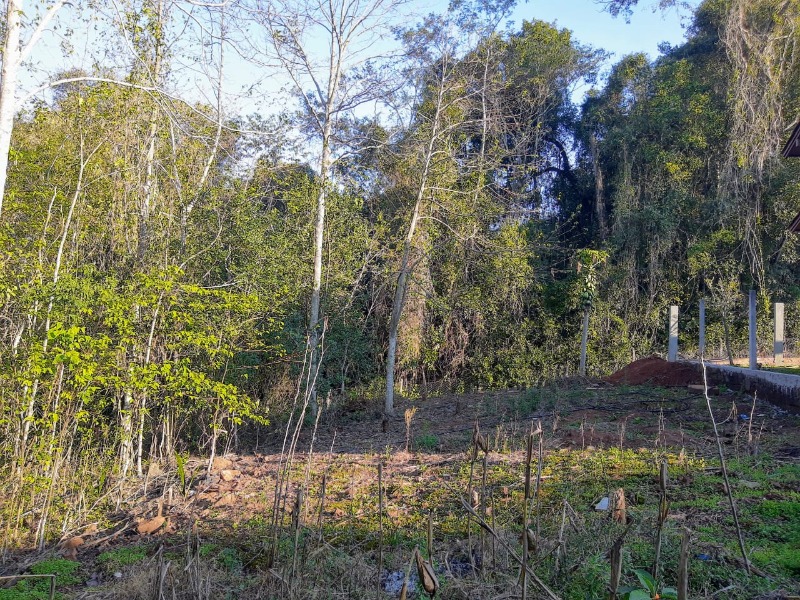 Terreno à venda - Industrial,Dois Irmãos