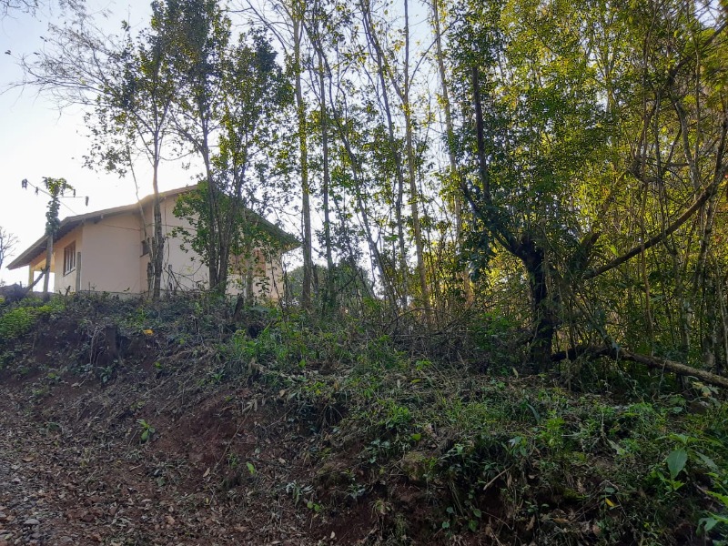 Terreno à venda - Industrial,Dois Irmãos