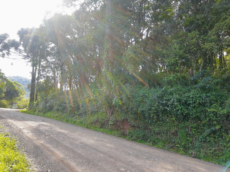 Terreno à venda - Belvedere,Morro Reuter