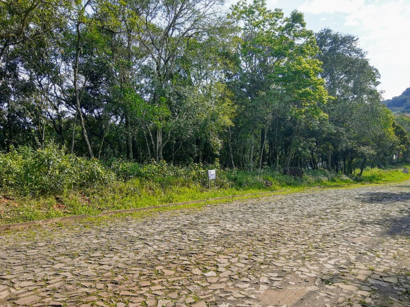 Terreno à venda - Belvedere,Morro Reuter