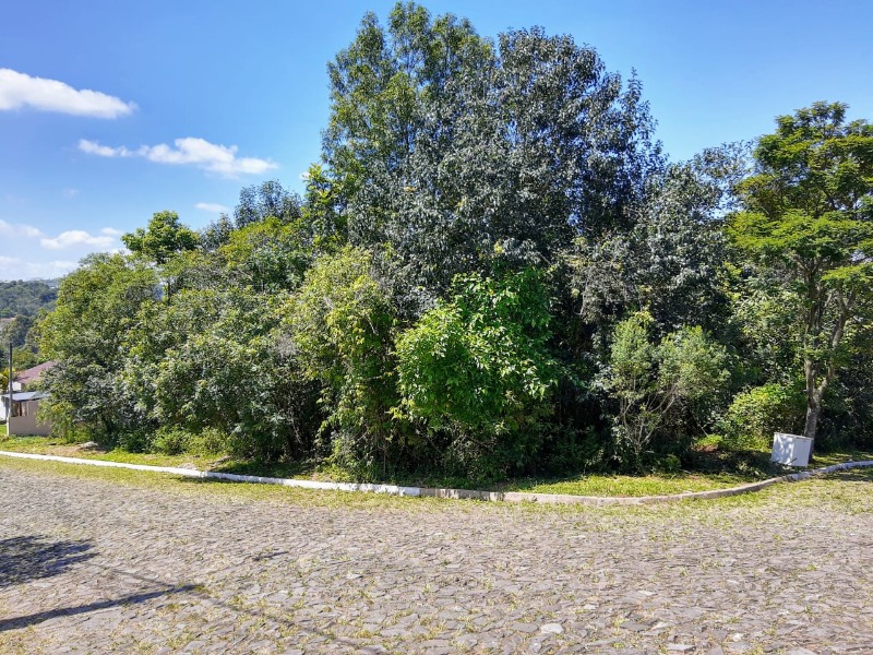 Terreno à venda - Vale Verde,Dois Irmãos