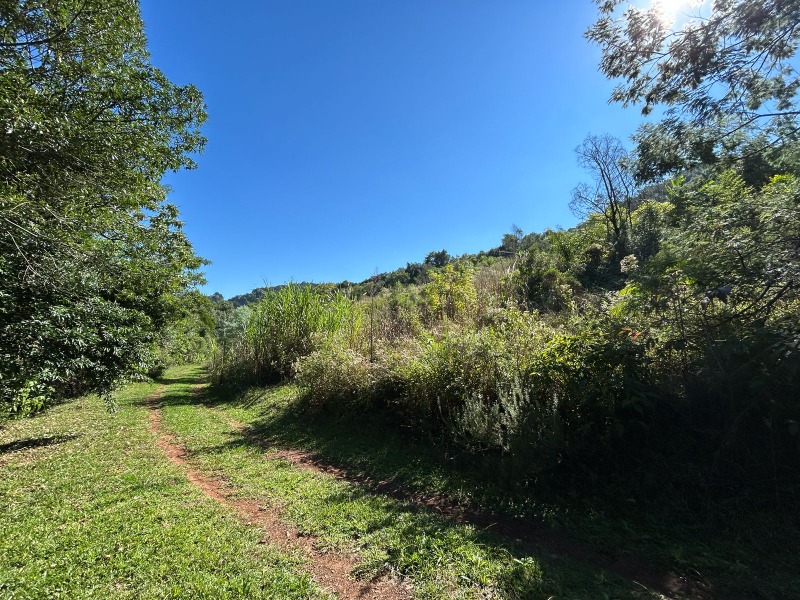 Chácara à venda - Franckenthal,Morro Reuter