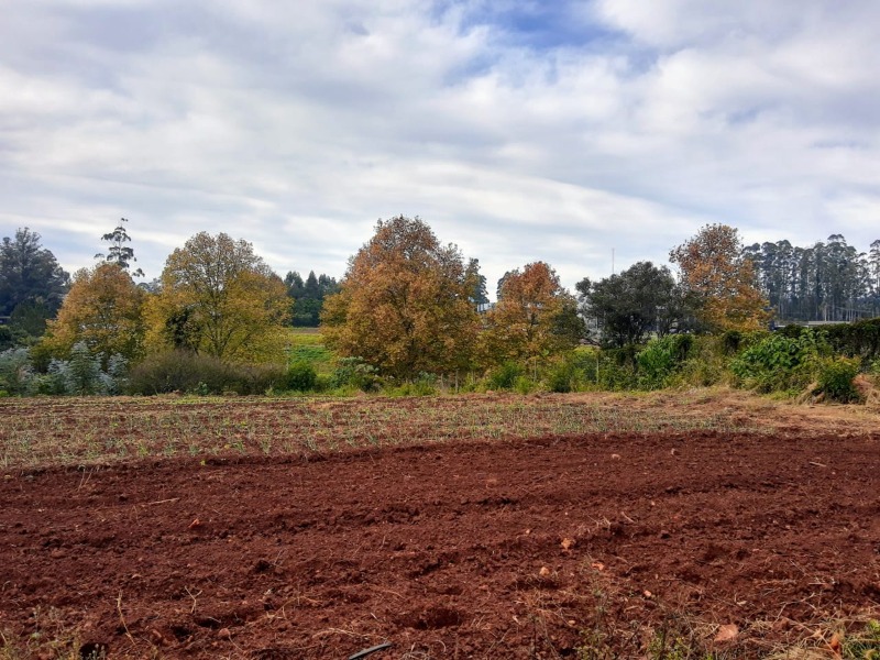 Área à venda - Travessão,Dois Irmãos
