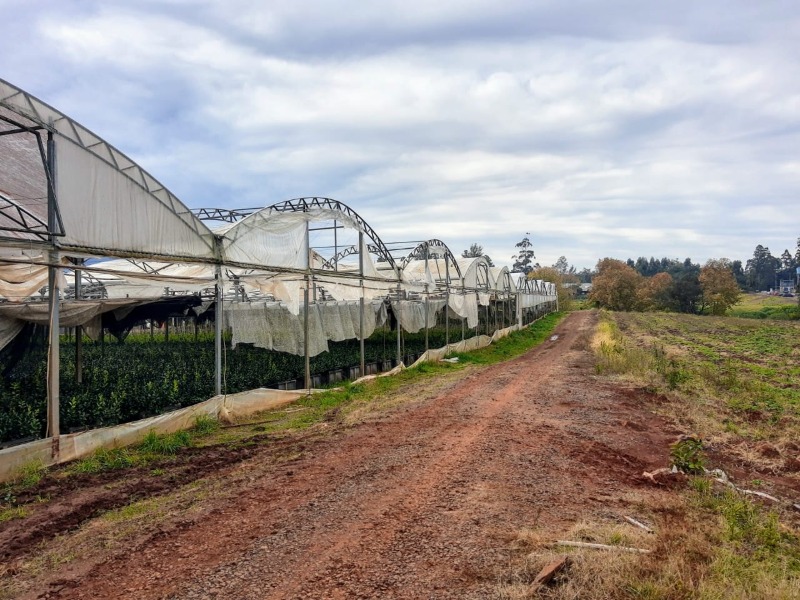 Área à venda - Travessão,Dois Irmãos