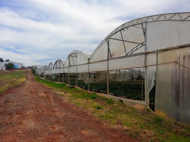  - Área à venda em Dois Irmãos, Travessão, 10.000,00m²