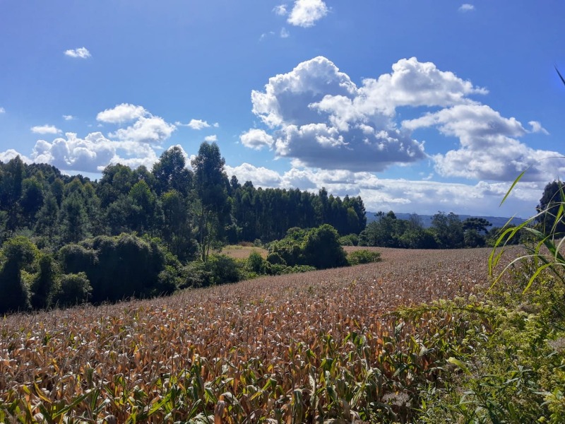Chácara à venda - Padre Eterno Ilges,Santa Maria do Herval
