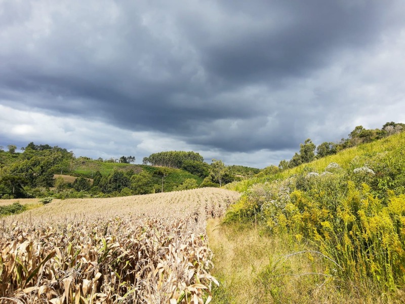 Chácara à venda - Padre Eterno Ilges,Santa Maria do Herval