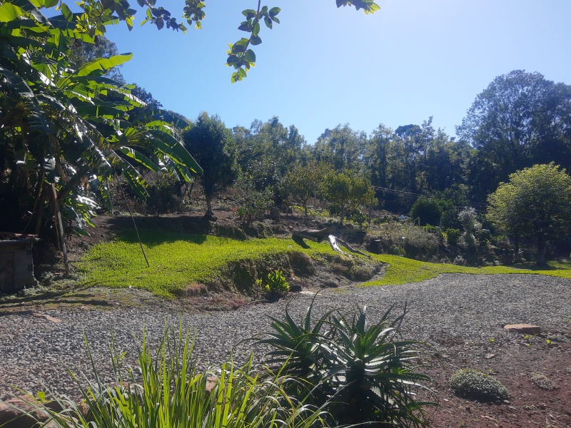 Sítio à venda com 3 quartos, 117.54m² - Franckenthal,Morro Reuter