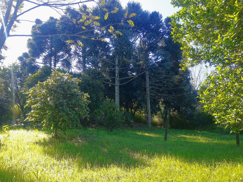 Área à venda, 75.21m² - Vale Direito,Dois Irmãos