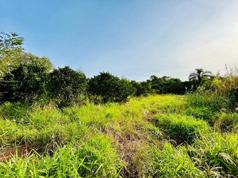 Área à venda - Travessão,Dois Irmãos