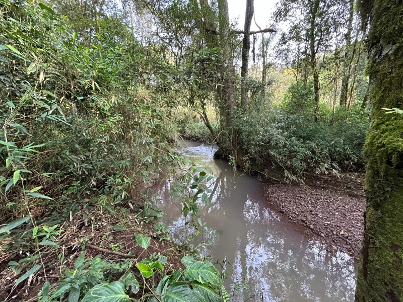  - Área à venda em Dois Irmãos, Travessão, 54.356,25m²