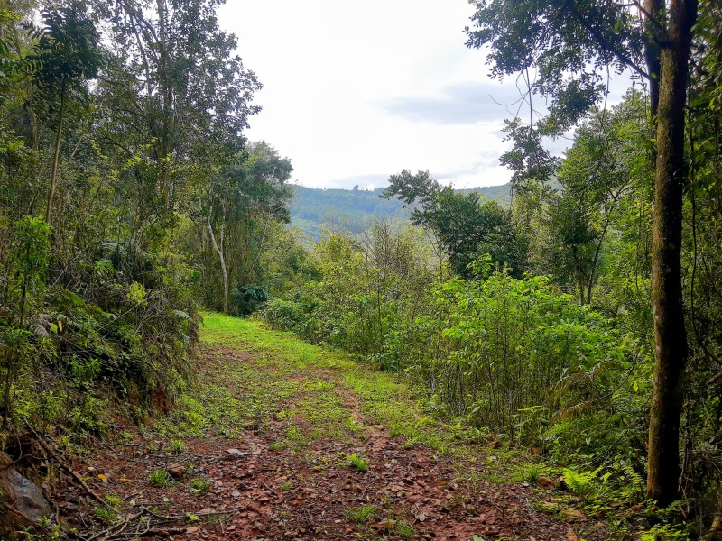 Sítio à venda - Padre Eterno,Santa Maria do Herval