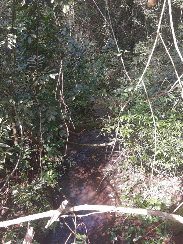 Área à venda - Travessão,Dois Irmãos