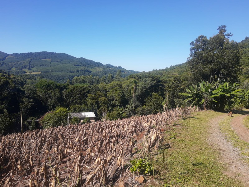  - Sítio à venda em Morro Reuter, Franckenthal, com 3 quartos, 117.54m²