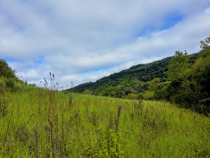  - Sítio à venda em Santa Maria do Herval, Padre Eterno, 20.000,00m²