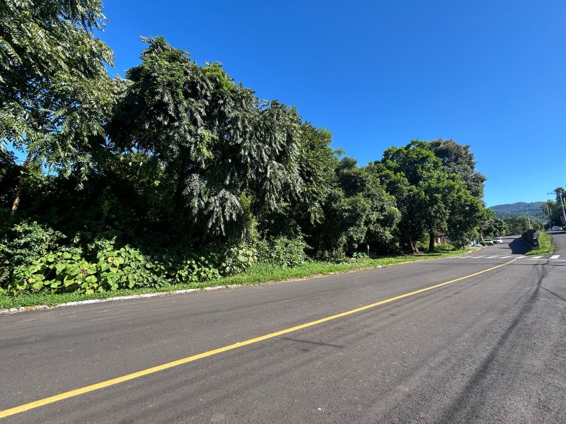 Área à venda - Floresta,Dois Irmãos