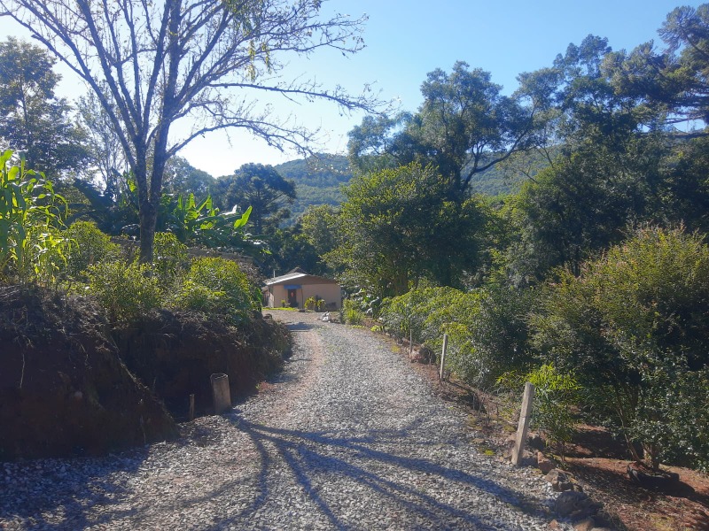 Sítio à venda com 3 quartos, 117.54m² - Franckenthal,Morro Reuter