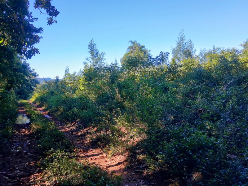 Área à venda - Moinho Velho,Dois Irmãos