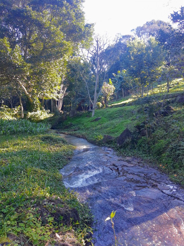  - Chácara à venda em Dois Irmãos, Becker, com 3 quartos, 200.00m²