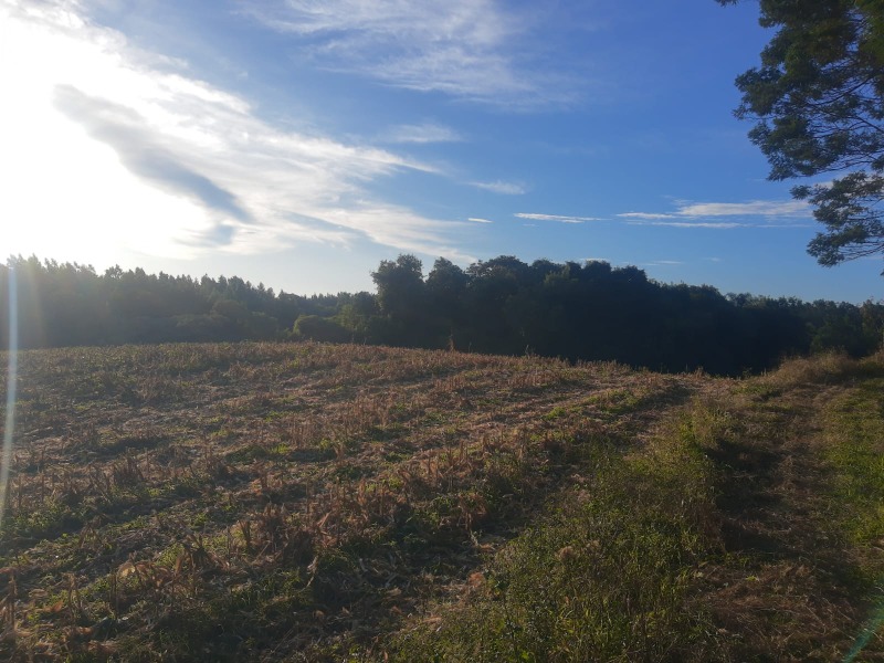 Sítio à venda - Padre Eterno Ilges,Santa Maria do Herval