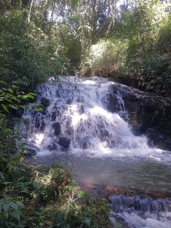 Chácara à venda com 9 quartos, 1.035,00m² - Franckenthal,Morro Reuter