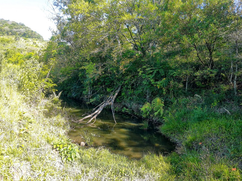  - Chácara à venda em Dois Irmãos, Travessão, com 5 quartos, 420.00m²