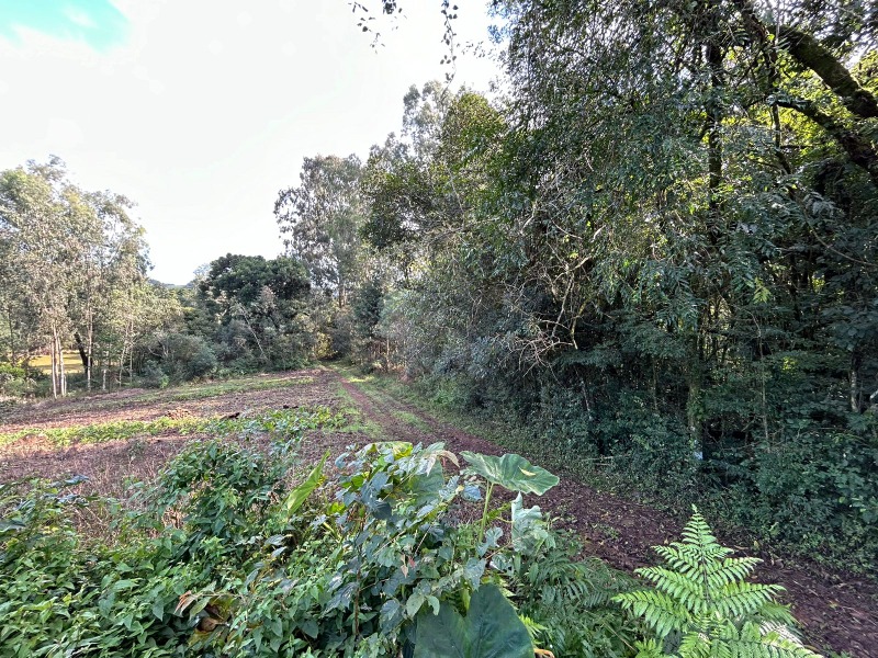  - Chácara à venda em Santa Maria do Herval, Padre Eterno Ilges, com 3 quartos, 90.00m²