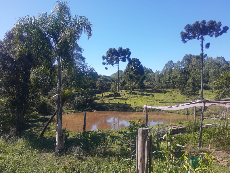  - Chácara à venda em Santa Maria do Herval, Padre Eterno Ilges, com 4 quartos, 420.00m²