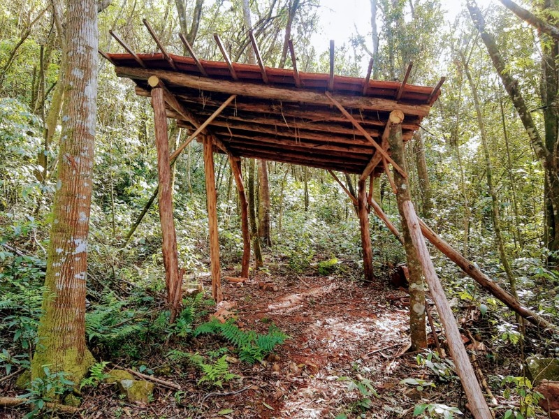  - Sítio à venda em Santa Maria do Herval, Vila Seger, 4.000,00m²