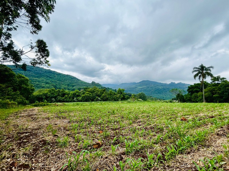 Sítio à venda - São José do Herval,Morro Reuter