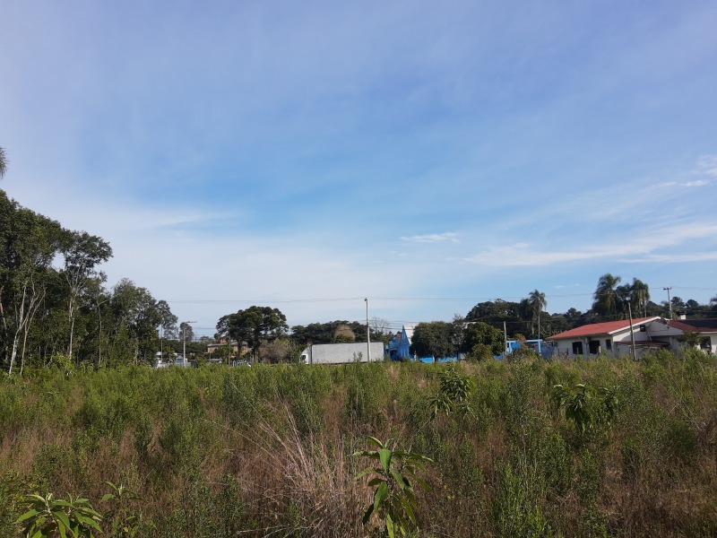 Área à venda - Travessão,Dois Irmãos