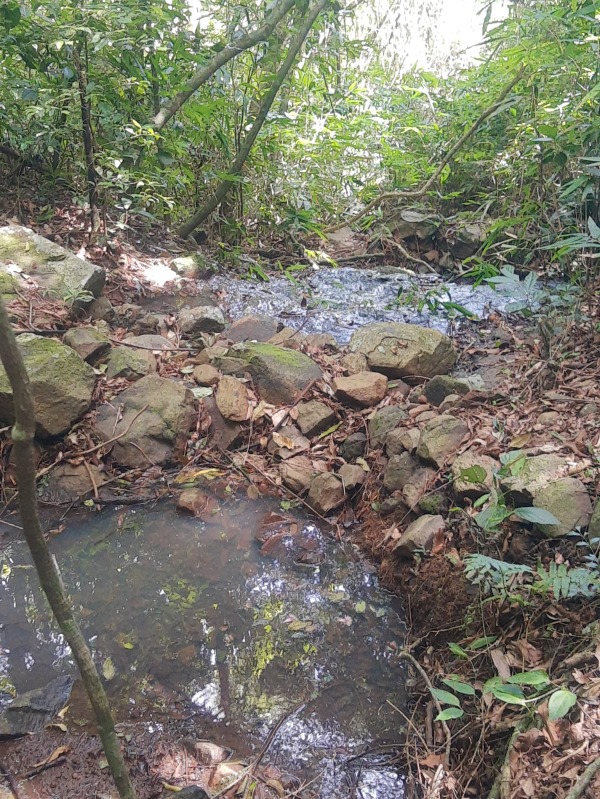 - Chácara à venda em Sapiranga, Picada São Jacó, com 1 quarto, 100.00m²