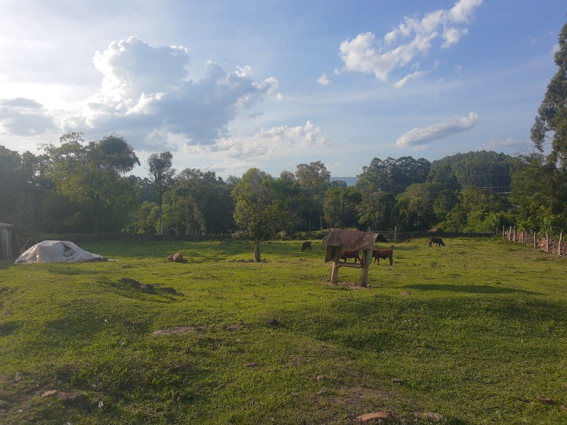  - Chácara à venda em Sapiranga, Picada dos Nabos, com 6 quartos, 600.00m²