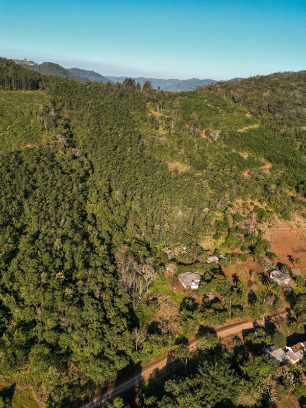 Chácara à venda - Linha Cristo Rei,Morro Reuter
