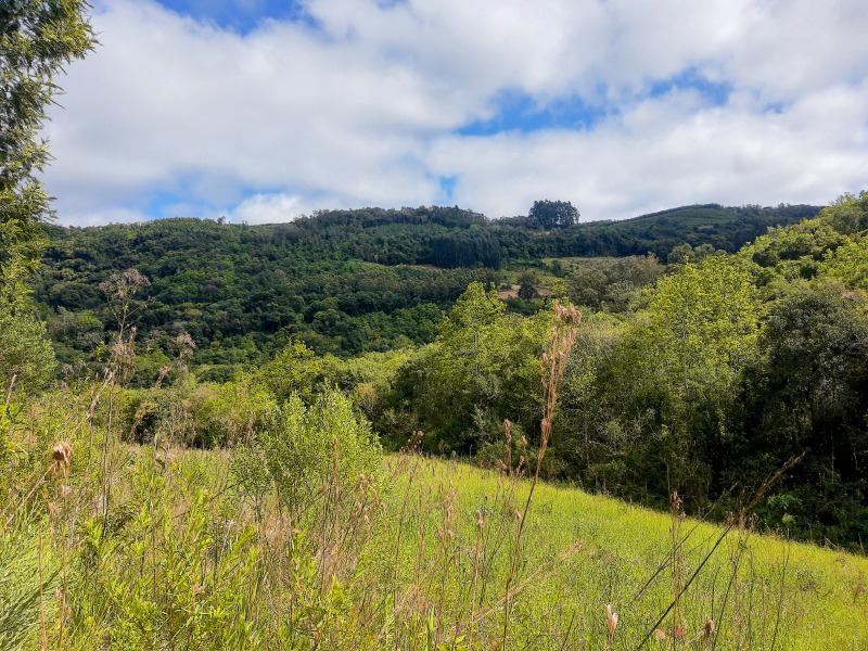 Sítio à venda - Padre Eterno,Santa Maria do Herval